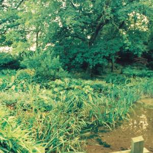 Photograph taken before 2009