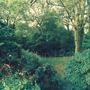 Photograph taken before 2009