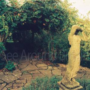 Photograph taken before 2009