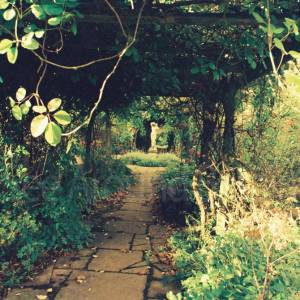 Photograph taken before 2009