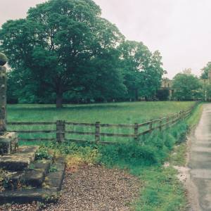 Photograph taken before 2009