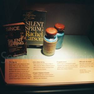 Photograph taken before 2009