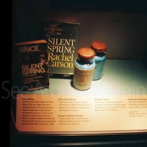 Photograph taken before 2009