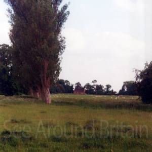 “taken before 2009”