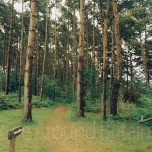 “taken before 2009”