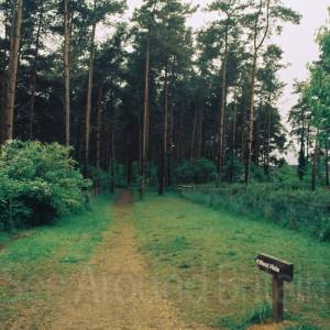 “taken before 2009”