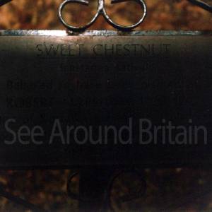 “taken before 2009”