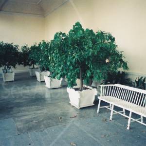 Taken before 2009