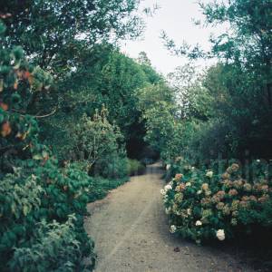 Taken before 2009