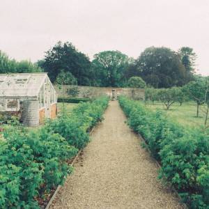Photograph taken before 2009