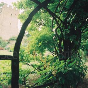 Photograph taken before 2009