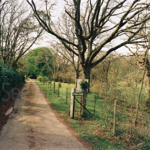 Photograph taken before 2009