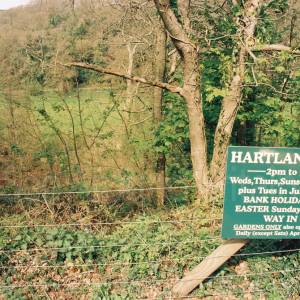 Photograph taken before 2009