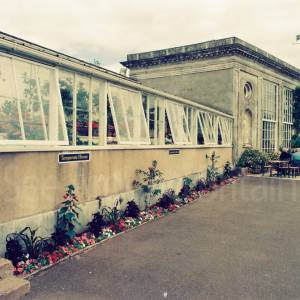 Taken before 2009