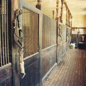 “taken before 2009”