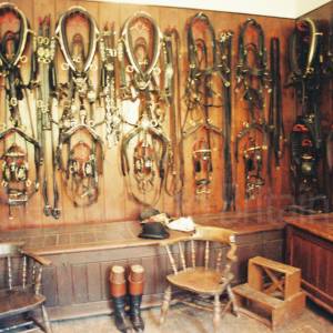 “taken before 2009”