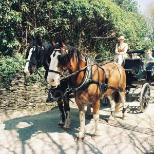 “taken before 2009”