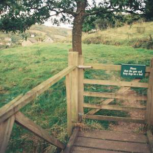 “taken before 2009”