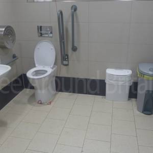 Disabled toilet