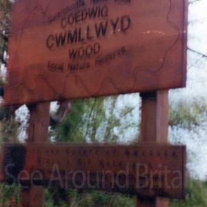 “taken before 2009”