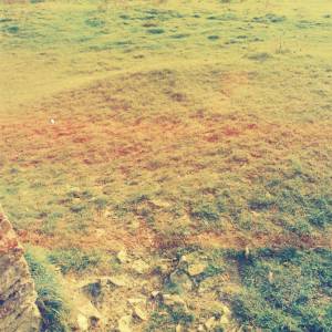 Photograph taken before 2009