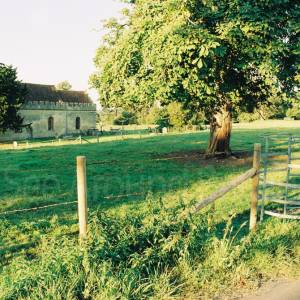 “taken before 2009”