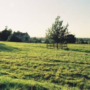 “taken before 2009”