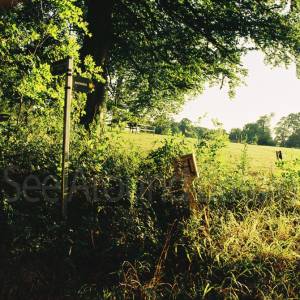 “taken before 2009”