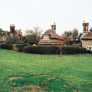 “taken before 2009”