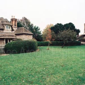 “taken before 2009”