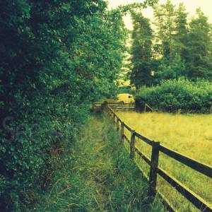 “taken before 2009”