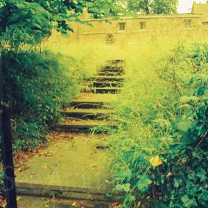 “taken before 2009”