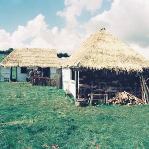 “taken before 2009”