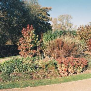 Photograph taken before 2009