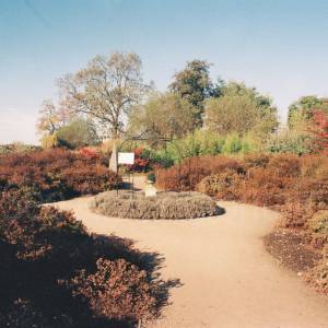 Photograph taken before 2009