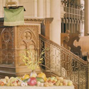 “taken before 2009”