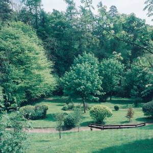 Photograph taken before 2009