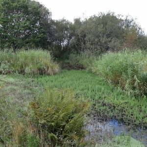 Glan y Wern Canal Junction