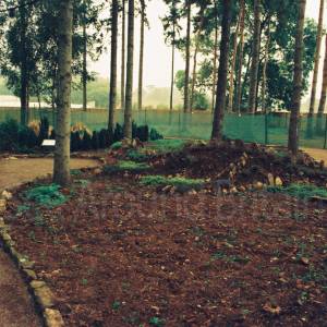 Photograph taken before 2009