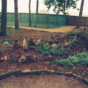 Photograph taken before 2009