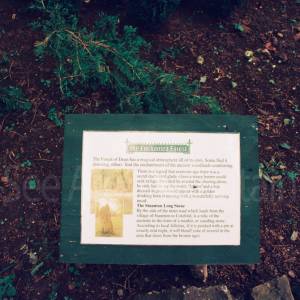 Photograph taken before 2009