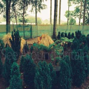 Photograph taken before 2009