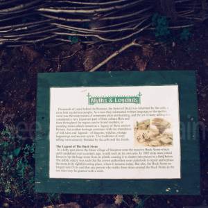 Photograph taken before 2009