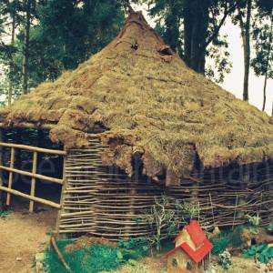 Photograph taken before 2009