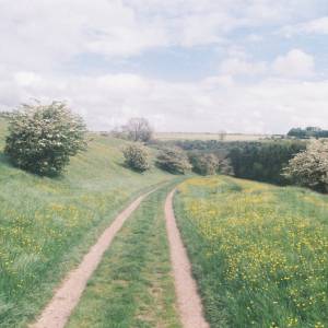 Photograph taken before 2009