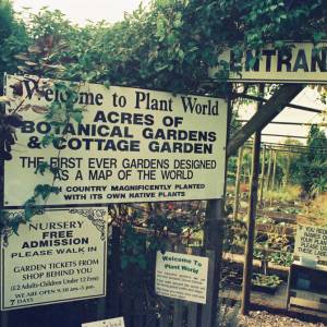 Photograph taken before 2009