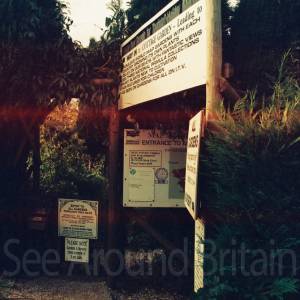 Photograph taken before 2009