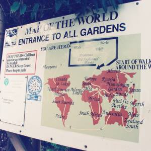 Photograph taken before 2009