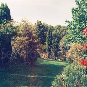 Photograph taken before 2009