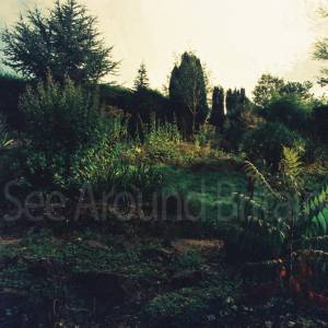 Photograph taken before 2009